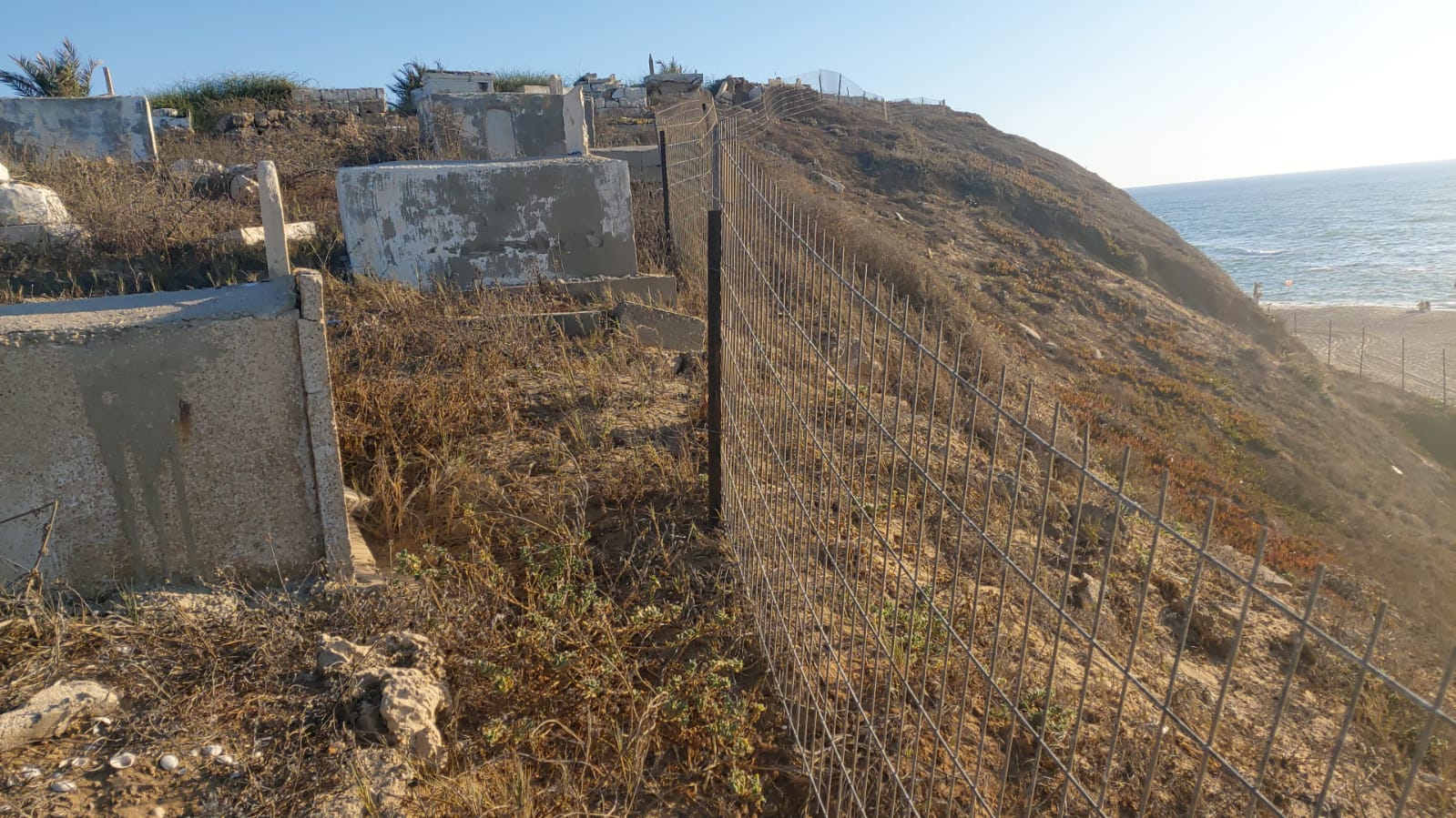 WhatsApp Image 2020-08-17 at 7.30.17 PM.jpeg.jpeg